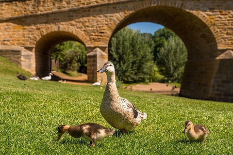 Richmond Historic Afternoon Tour From Hobart - Hotel Accommodation 1