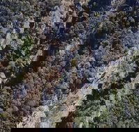 Leven Canyon Day Trip Including Wings Wildlife Park or Gunns Plains Caves - Hotel Accommodation