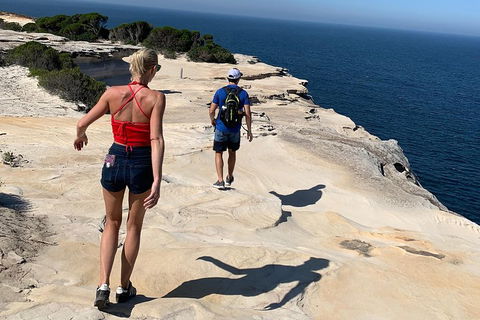 See Sydney With A Local: Private & Personalized - Hotel Accommodation 0