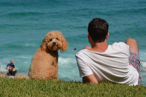 See Sydney With A Local: Private & Personalized - Hotel Accommodation 5