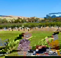 Private Picnic and Wine Tasting Experience in Barossa Valley - Hotel Accommodation