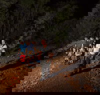 Alice Springs Desert Park Nocturnal Tour - Hotel Accommodation