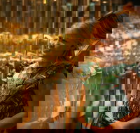 The Perth Mint Guided Heritage Tour and Gold Pour - Hotel Accommodation