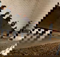 The Ultimate Penfolds Magill Estate Wine  Underground Cellar Tour - Hotel Accommodation