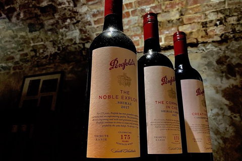 The Ultimate Penfolds Magill Estate Wine & Underground Cellar Tour - Hotel Accommodation 5