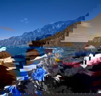 Seal Island Boat Tour from Victor Harbor - Hotel Accommodation