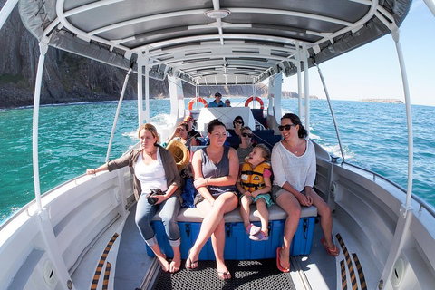 Seal Island Boat Tour From Victor Harbor - Hotel Accommodation 1