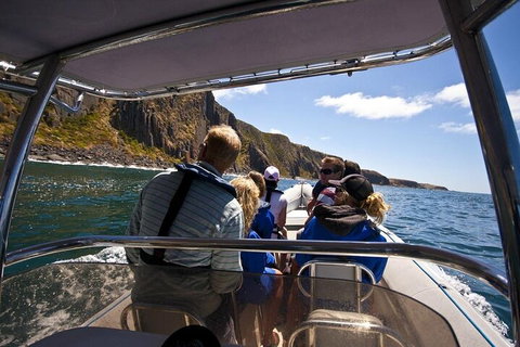 Seal Island Boat Tour From Victor Harbor - Hotel Accommodation 2