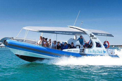 Seal Island Boat Tour From Victor Harbor - Hotel Accommodation 3