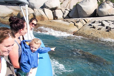 Seal Island Boat Tour From Victor Harbor - Hotel Accommodation 4