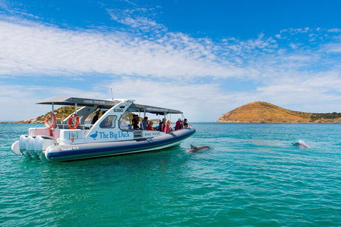 Southern Ocean Adventure From Victor Harbor - Hotel Accommodation 1