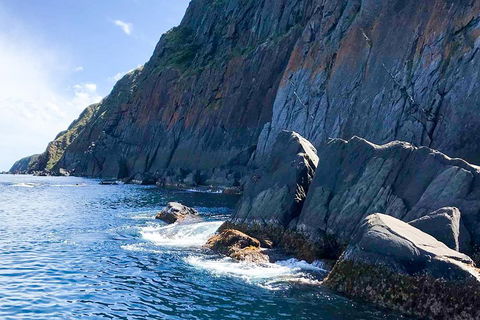 Southern Ocean Adventure From Victor Harbor - Hotel Accommodation 3