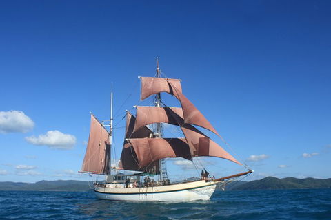 Sydney Harbour Tall Ship Whale & Sail - Whale Watching Cruise - Hotel Accommodation 1