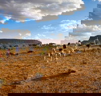 Mount Conner 4WD Small Group Tour from Ayers Rock including Dinner - Hotel Accommodation