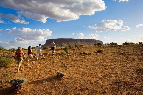 Mount Conner 4WD Small Group Tour From Ayers Rock Including Dinner - Hotel Accommodation 0