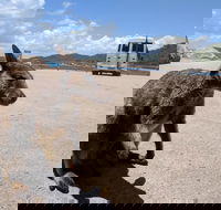 Magnetic Island Tour Maggie Comprehensive - Hotel Accommodation