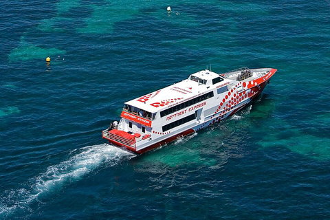 Discover Rottnest With Ferry & Bus Tour From Perth Or Fremantle - Hotel Accommodation 3