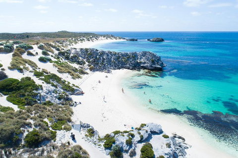 Discover Rottnest With Ferry & Bus Tour From Perth Or Fremantle - Hotel Accommodation 5
