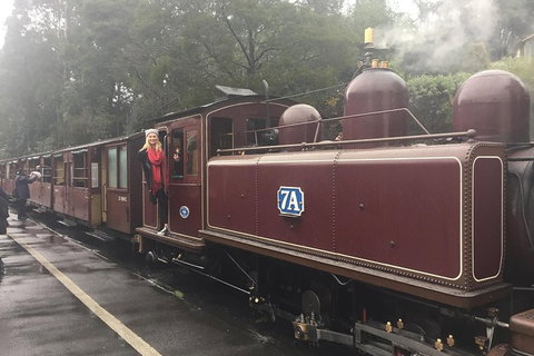 Puffing Billy, Moonlit Sanctuary & Penguins Day Tour - Hotel Accommodation 4