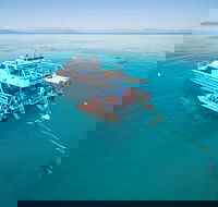 Ocean Freedom Great Barrier Reef Personal Luxury Snorkel  Dive Cruise Cairns - Hotel Accommodation