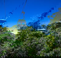 Classic Kuranda by Skyrail and Scenic Railway Including Rainforestation Koala and Wildlife Park and Pamagirri Aboriginal Experi - Hotel Accommodation