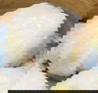 Melbourne Foodie Culture - Hotel Accommodation