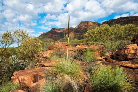 6-Day Eyre Peninsula & Flinders Ranges Adventure Tour - Hotel Accommodation 1