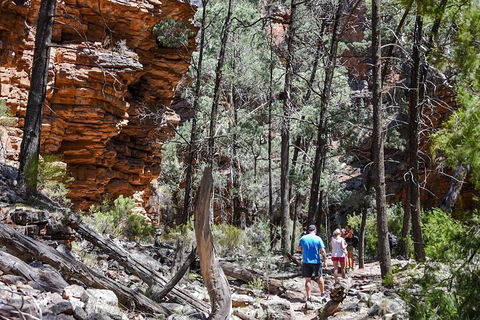 6-Day Eyre Peninsula & Flinders Ranges Adventure Tour - Hotel Accommodation 5