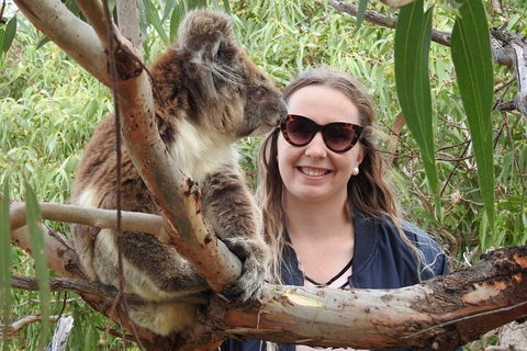 10-Day Adelaide To Perth Adventure Tour - Hotel Accommodation 3