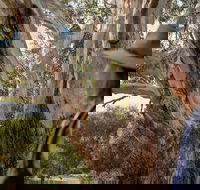 NEW TOUR - Kangaroo Island Road to Recovery Tour 1 Day/1 Night - Hotel Accommodation