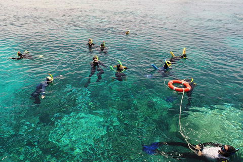 Seastar Luxury Outer Great Barrier Reef Island And Reef Tour From Cairns - Hotel Accommodation 2