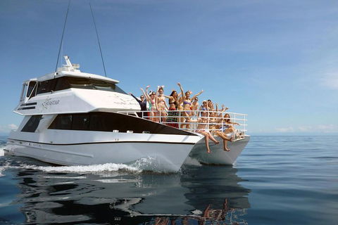 Seastar Luxury Outer Great Barrier Reef Island And Reef Tour From Cairns - Hotel Accommodation 4