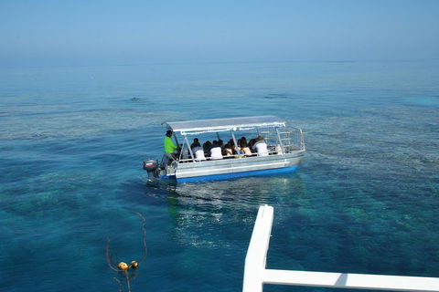 Seastar Luxury Outer Great Barrier Reef Island And Reef Tour From Cairns - Hotel Accommodation 5