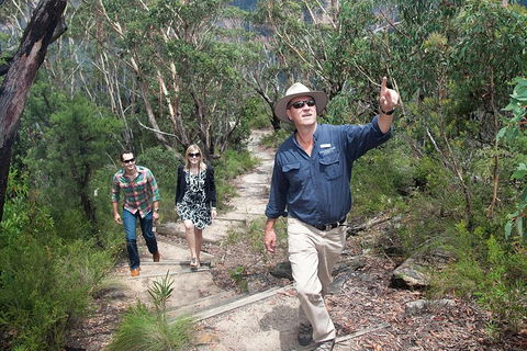 Small-Group Blue Mountains Tour With Bush Walks And Featherdale Wildlife Park - Hotel Accommodation 0