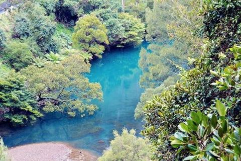 Blue Mountains Private Tour From Sydney With Jenolan Caves - Hotel Accommodation 4