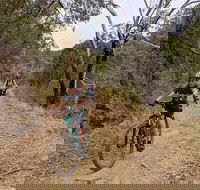 Mount Lofty Descent Bike Tour from Adelaide - Hotel Accommodation