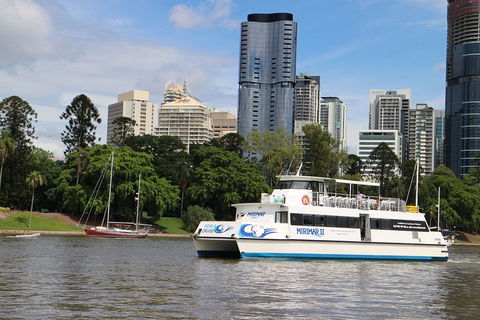 Lone Pine Koala Sanctuary Admission With Brisbane River Cruise - Hotel Accommodation 2