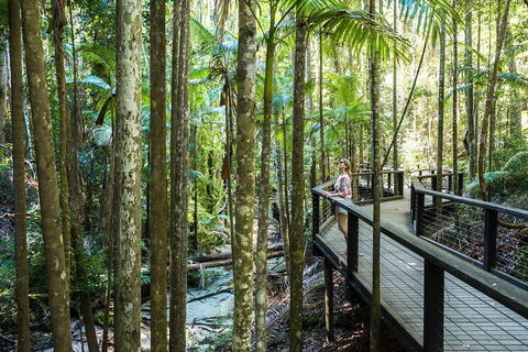 All-Inclusive Fraser Island Day Tour - Hotel Accommodation 5
