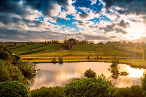 Josef Chromy Wines Winery Tour Including Tasting And Lunch - Hotel Accommodation 3