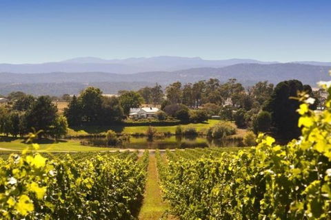 Josef Chromy Wines Winery Tour Including Tasting And Lunch - Hotel Accommodation 4