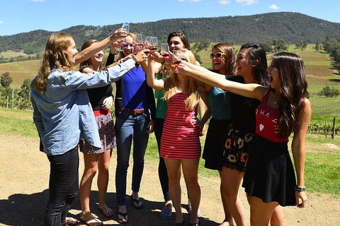 Hunter Valley Wine Tour From Sydney Incl Lunch, Cheese, Chocolate And Distillery - Hotel Accommodation 3