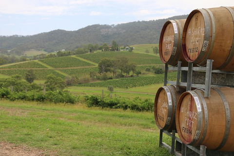 Hunter Valley Wine Tour From Sydney Incl Lunch, Cheese, Chocolate And Distillery - Hotel Accommodation 5