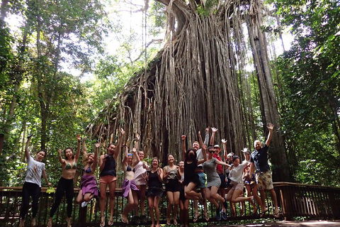 Atherton Tablelands Waterfalls Tour From Cairns - Hotel Accommodation 5