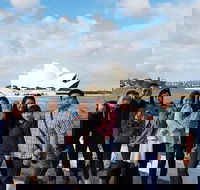 1Day Sydney Private Car charter with driver - Hotel Accommodation