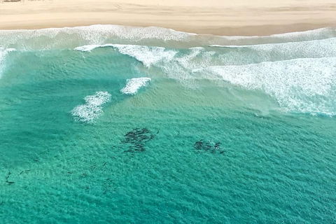 Coastal Helicopter Shared Flight - 20 Minutes - Hotel Accommodation 4