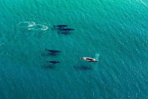 25-30 Minute Newcastle & Macquarie Helicopter Shared Flight - Hotel Accommodation 4