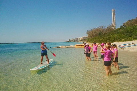 Golden Beach 1-Hour Stand-Up Paddleboard Hire On The Sunshine Coast - Hotel Accommodation 1