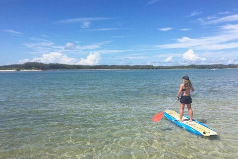 Golden Beach 1-Hour Stand-Up Paddleboard Hire On The Sunshine Coast - Hotel Accommodation 4