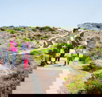 Margaret River Coastal and Wildlife Eco Trip from Busselton or Dunsborough - Hotel Accommodation